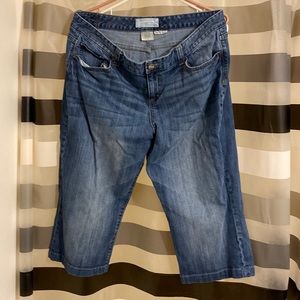 Maurice’s Taylor Boot Cropped Pants